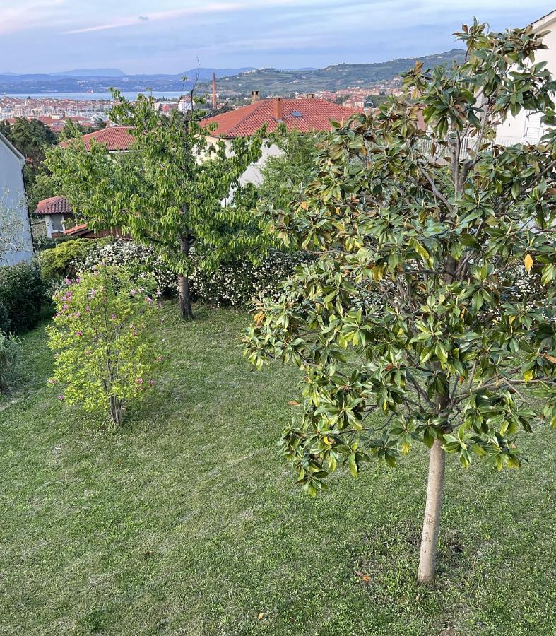 Magnolia Apartments Izola Dış mekan fotoğraf