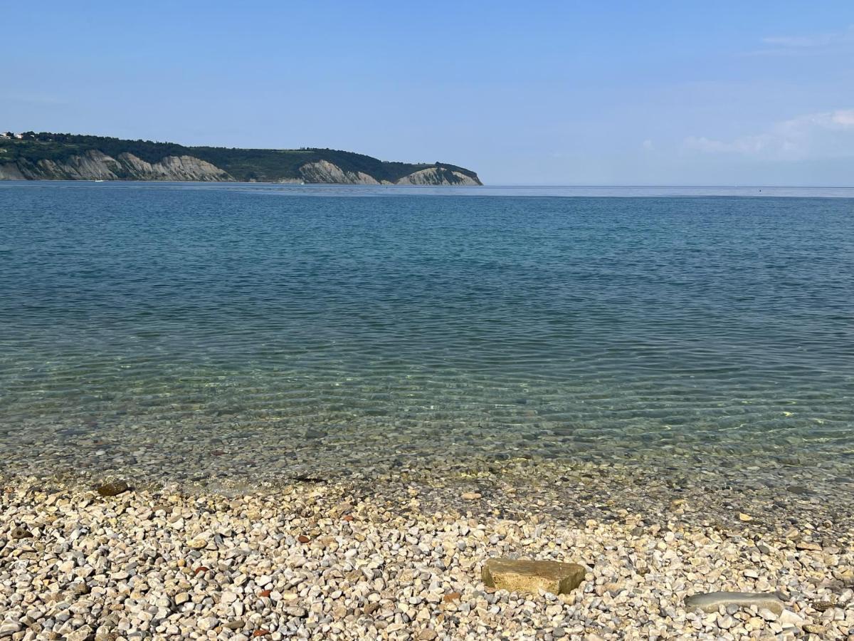 Magnolia Apartments Izola Dış mekan fotoğraf