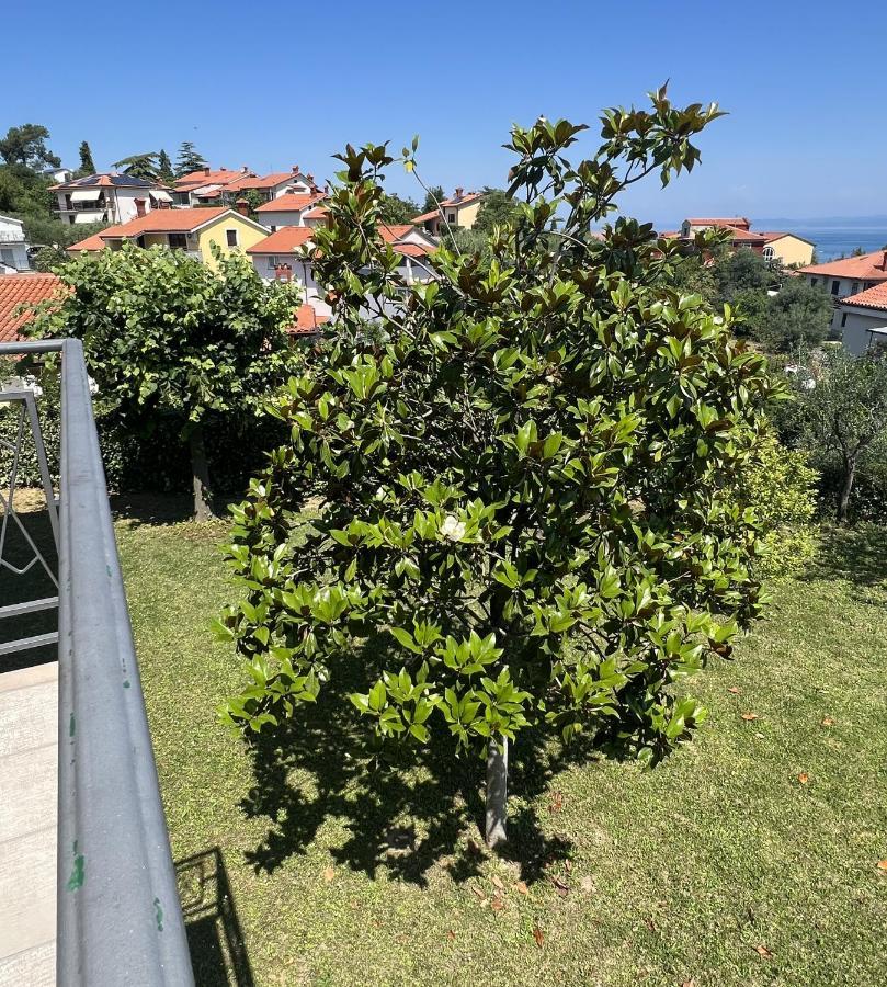 Magnolia Apartments Izola Dış mekan fotoğraf